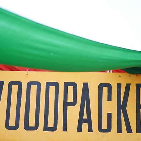 Woodpacker Hostel Auroville Pondicherry Exteriér fotografie